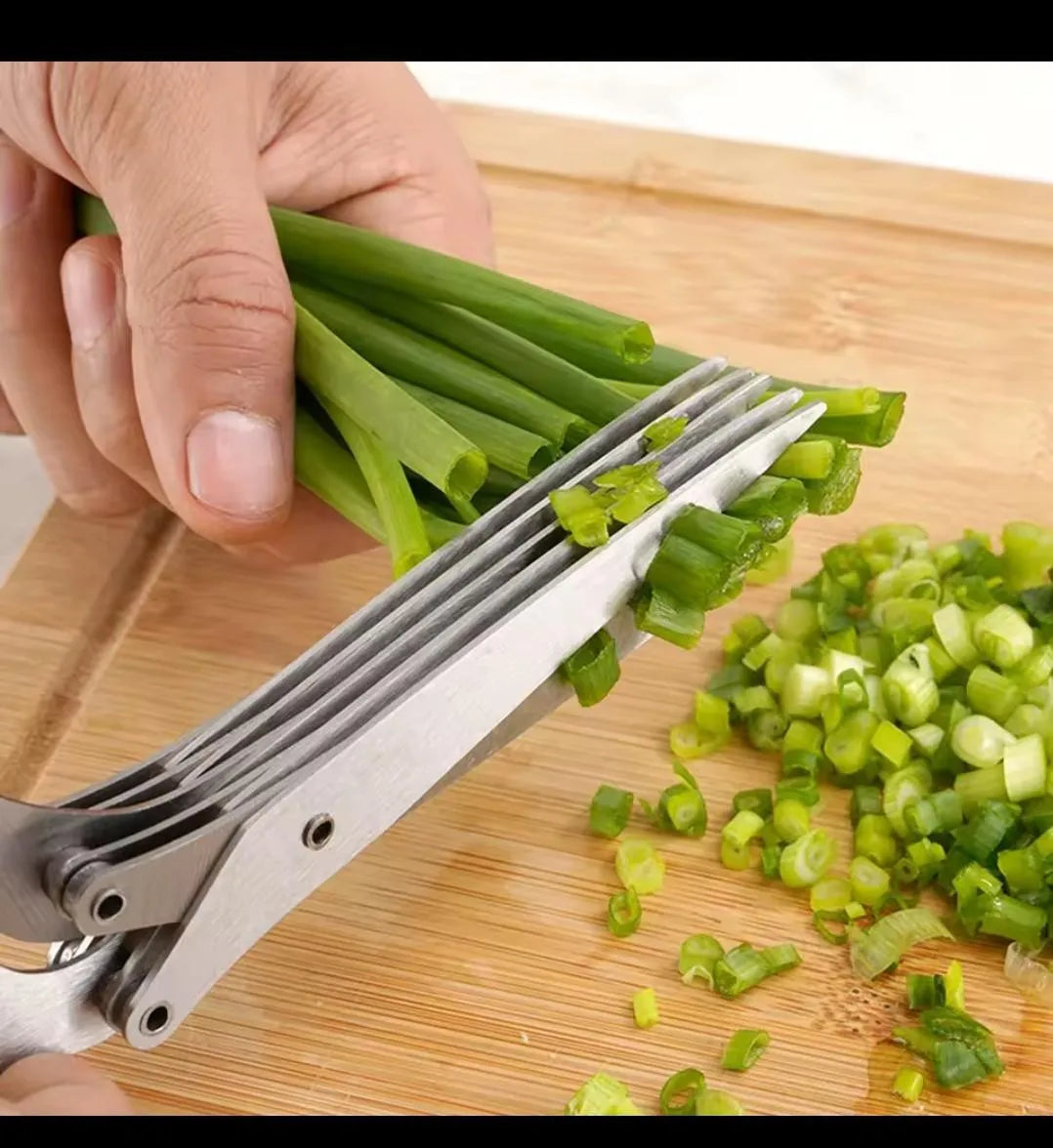 5-Layer Stainless Steel Kitchen Herb Scissors – Multi-Blade Green Onion, Scallion & Vegetable Cutting Shears